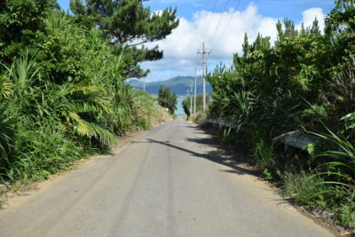 小浜島