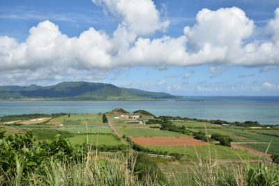 小浜島　西表島